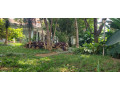 kigali-semi-furnished-villa-available-for-rent-in-gacuriro-small-3