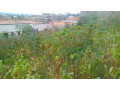 kigali-land-for-sale-in-gisozi-small-9