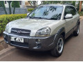 hyundai-tucson-small-1