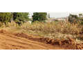 ikibanza-kigurishwa-rusororo-small-4