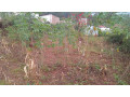 kigali-land-for-sale-in-rebero-facing-nyamirambo-side-small-1
