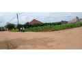 busanza-plot-for-sale-small-3