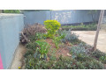 kigali-house-for-sale-in-kacyiru-small-3