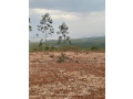 bugesera-plots-for-sale-in-kanzenze-small-3