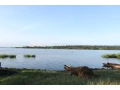 rweru-batima-plot-for-sale-small-0