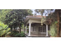 kigali-house-for-rent-in-kiyovu-small-4