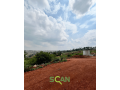 land-for-sale-in-kigali-in-a-developed-modern-housing-area-small-7