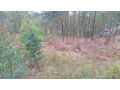 kigali-land-for-sale-in-rebero-small-1