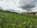 nice-plot-for-sale-in-nyamirambo-604sqm-small-7
