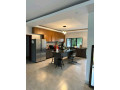 well-renovated-house-available-for-rent-at-kimihurura-near-kigali-heights-and-radisson-blue-hotel-small-1