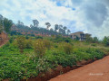 birembo-small-0