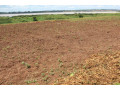 plot-for-sale-in-bugesera-near-airport-hot-deal-small-1