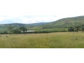land-agricultural-for-sale-at-kayonza-small-3
