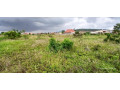 plot-for-sale-in-nyamata-at-agood-place-small-3