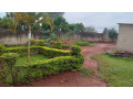 kigali-land-for-sale-in-rebero-small-3