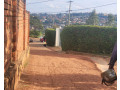 residential-plot-for-sale-near-the-road-and-good-neighbors-small-7
