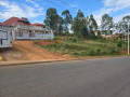 muyange-small-4