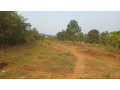 plot-for-sale-in-ndera-on-auctioncyamunara-small-10