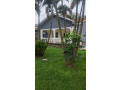 2-kibagabaga-kibagabaga-very-nice-well-unfurnished-house-for-rent-small-0