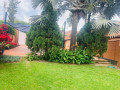 ep-145-gacuriro-gacuriro-vision-2020-estate-nice-well-renovated-and-well-furnished-house-for-rent-small-5