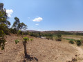 kinyinya-big-land-for-sale-small-5