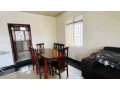 gishushu-near-lemigo-hotel-furnished-house-for-rent-small-4