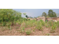 plot-for-sale-in-kinyinya-small-7