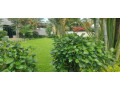 office-house-available-for-rent-at-kimihurura-small-5