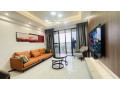 gishushu-beautiful-serviced-furnished-apartments-for-rent-in-rwanda-small-0
