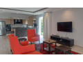 gacuriro-very-nice-full-furnished-house-for-rent-small-9