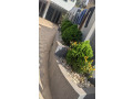 41-kibagabaga-very-beautiful-unfurnished-apartment-for-rent-callwhatsapp-small-5