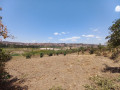 kinyinya-big-land-for-sale-small-2