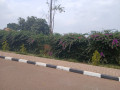 kimironko-bibare-plot-for-sale-small-8