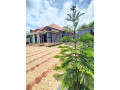 kigali-house-for-rent-in-kanombe-busanza-small-1