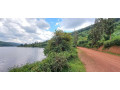 rwesero-muhazi-plot-for-sale-small-0