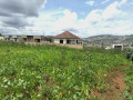 nice-plot-for-sale-in-nyamirambo-604sqm-small-3