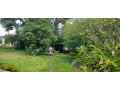 kigali-pool-house-available-for-rent-kacyiru-near-american-ambassador-residence-small-5