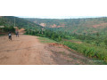 ndera-mukuyu-plot-for-sale-small-2