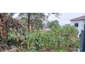 plot-for-sale-in-kinyinya-at-a-good-price-small-2