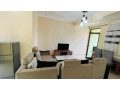 kacyiru-near-american-embassy-fully-furnished-apartment-for-rent-in-good-location-in-kigali-rwanda-small-1