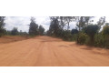 land-for-sale-in-bugesera-rilima-near-airport-of-rwanda-hot-deal-access-on-main-road-from-airport-small-1
