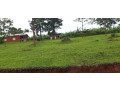 land-for-rent-in-muhazi-lake-access-on-lake-small-4