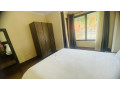 bk-14-gishushu-very-beautiful-full-furnished-apartment-available-for-rent-small-4