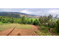 jabana-plot-for-sale-small-0