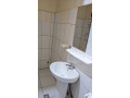 bb-013-kibagabaga-very-nice-fully-furnished-house-for-rent-small-10