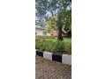 kigali-unfurnished-house-available-for-rent-in-kiyovu-small-1