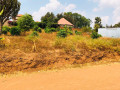 kagugu-plot-for-sale-small-2