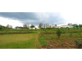 nyamata-land-for-sale-small-1