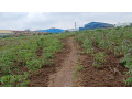 land-industry-masoro-land-for-sale-small-3