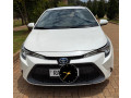 toyota-levin-small-2